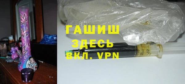 стаф Алзамай