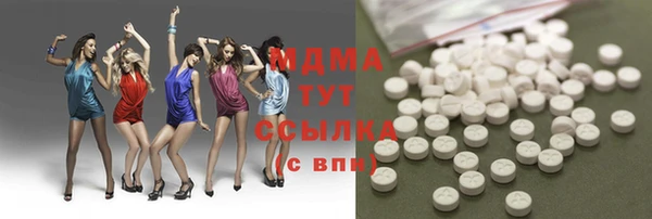 стаф Алзамай