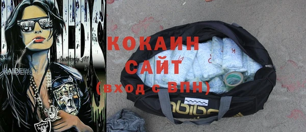 стаф Алзамай