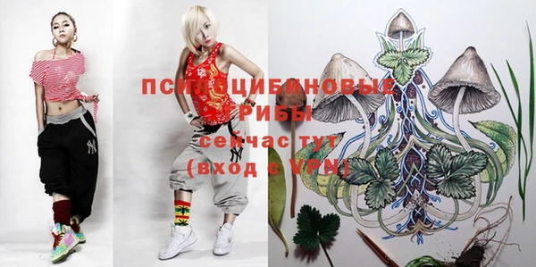 apvp Алексеевка