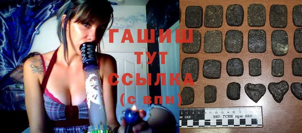 стаф Алзамай
