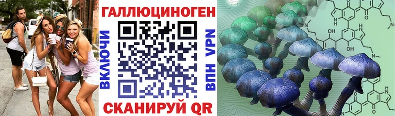 где можно купить наркотик  Сосновый Бор  Галлюциногенные грибы ЛСД 